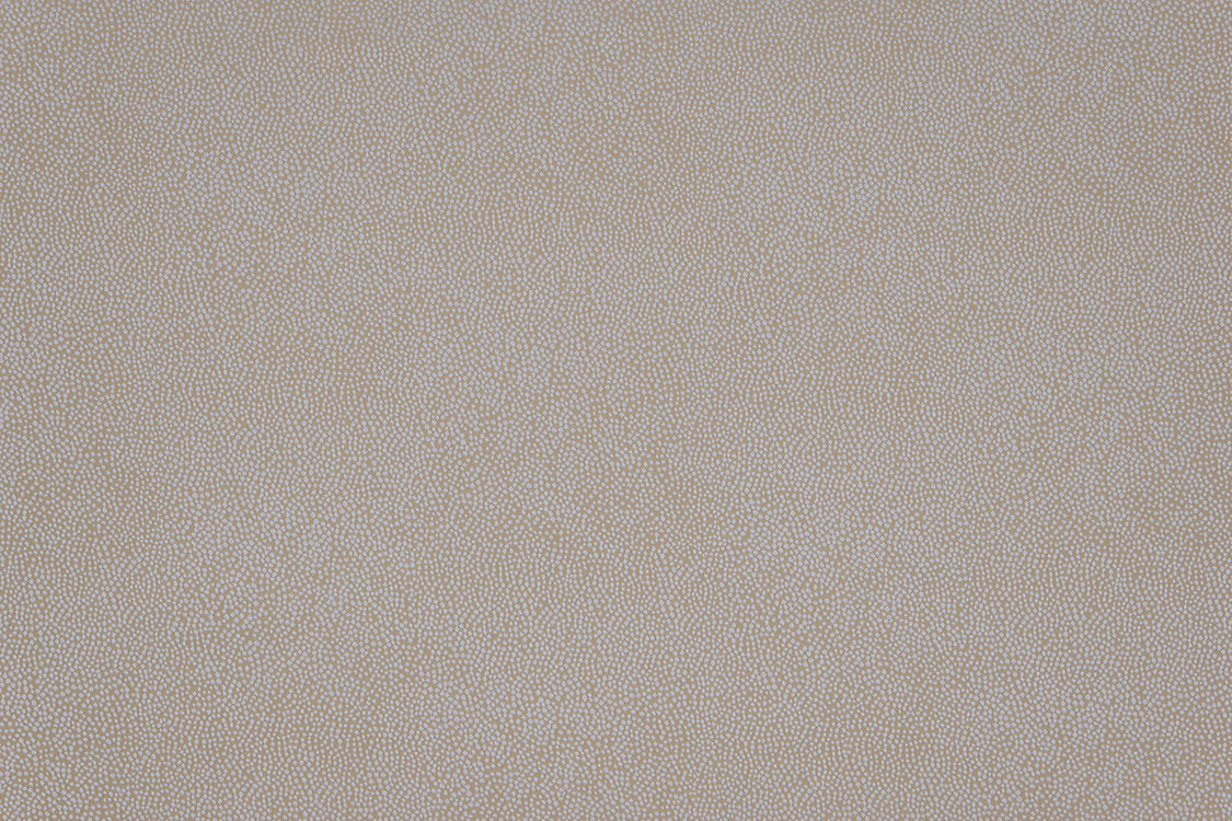 Phoenix Dot - Oyster - Scalamandre Fabric