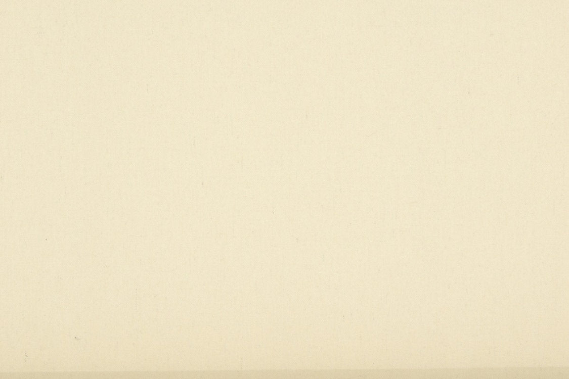 Benu Remix - Cream - Scalamandre Fabric