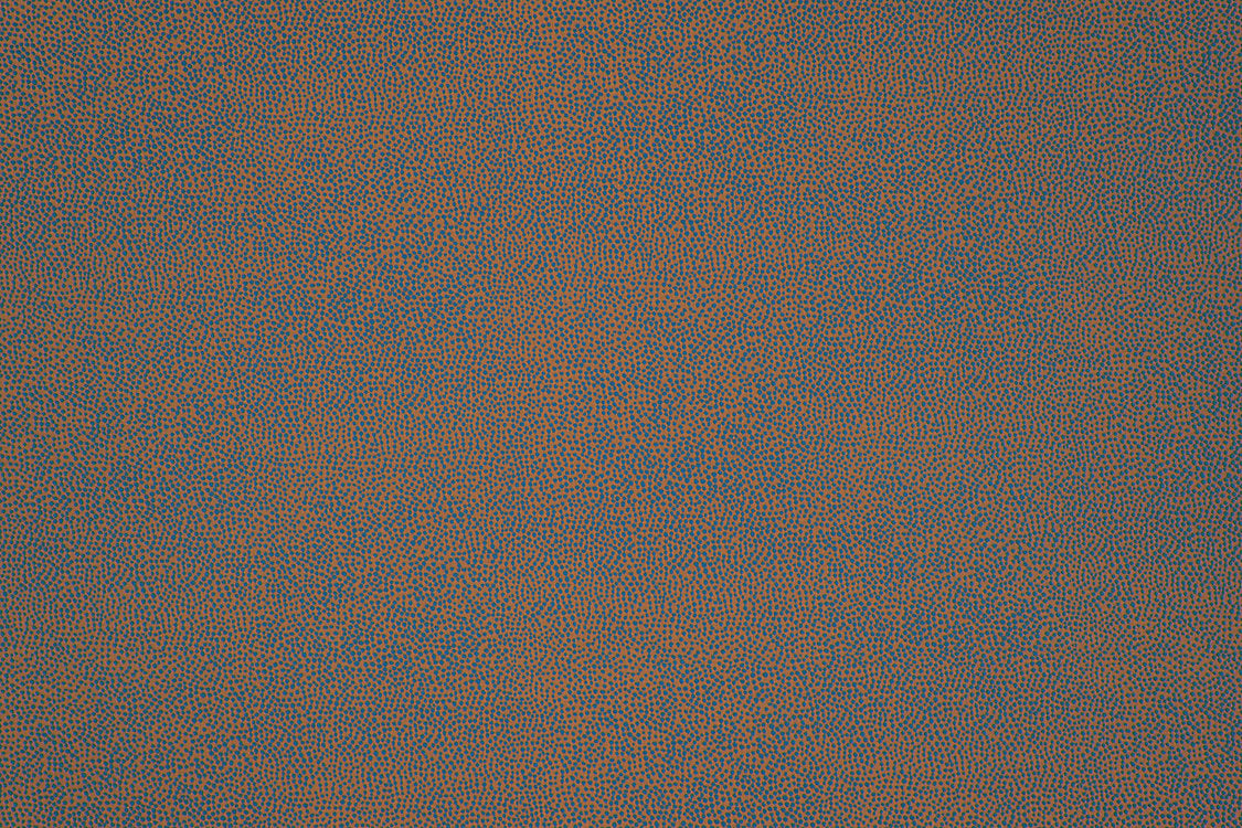 Phoenix Dot - Turquoise - Scalamandre Fabric