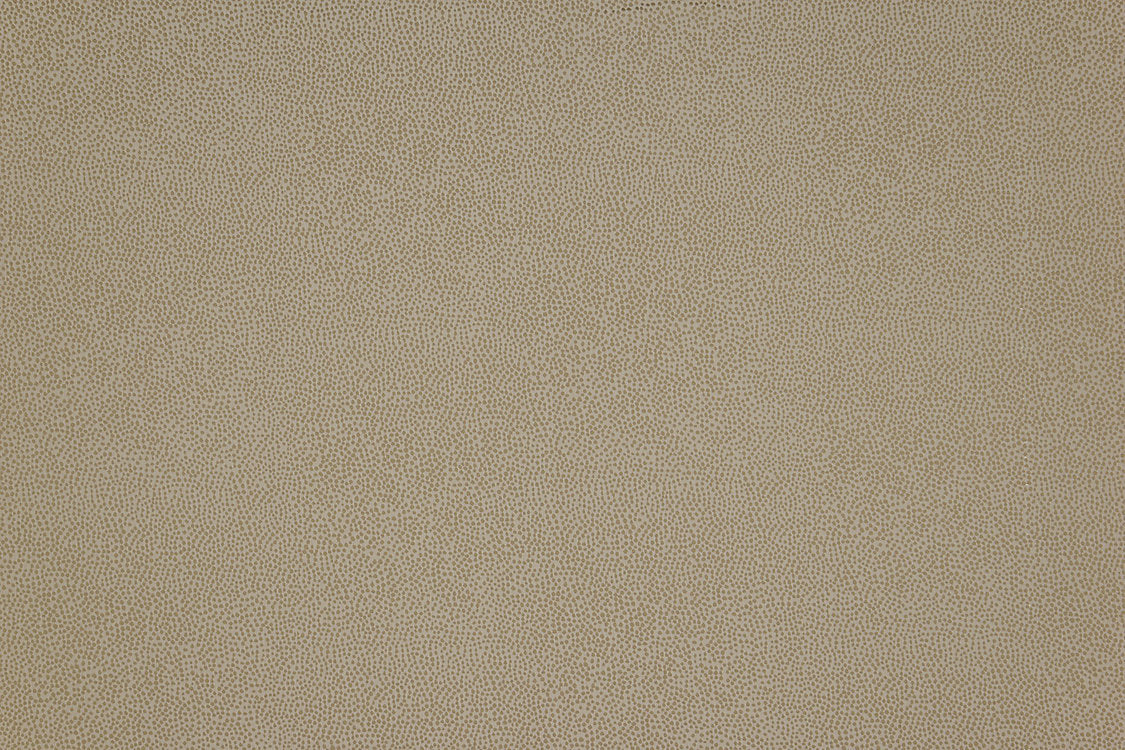 Phoenix Dot - Bone - Scalamandre Fabric