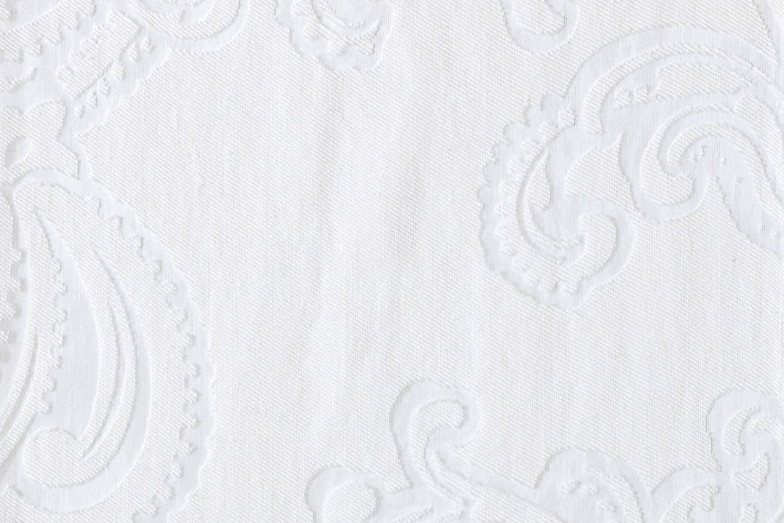 Cashmere - Swan