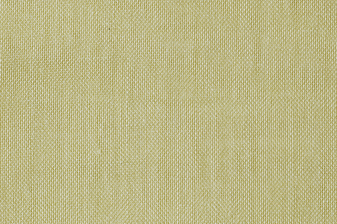 Alsara - Lemongrass - Scalamandre Fabric