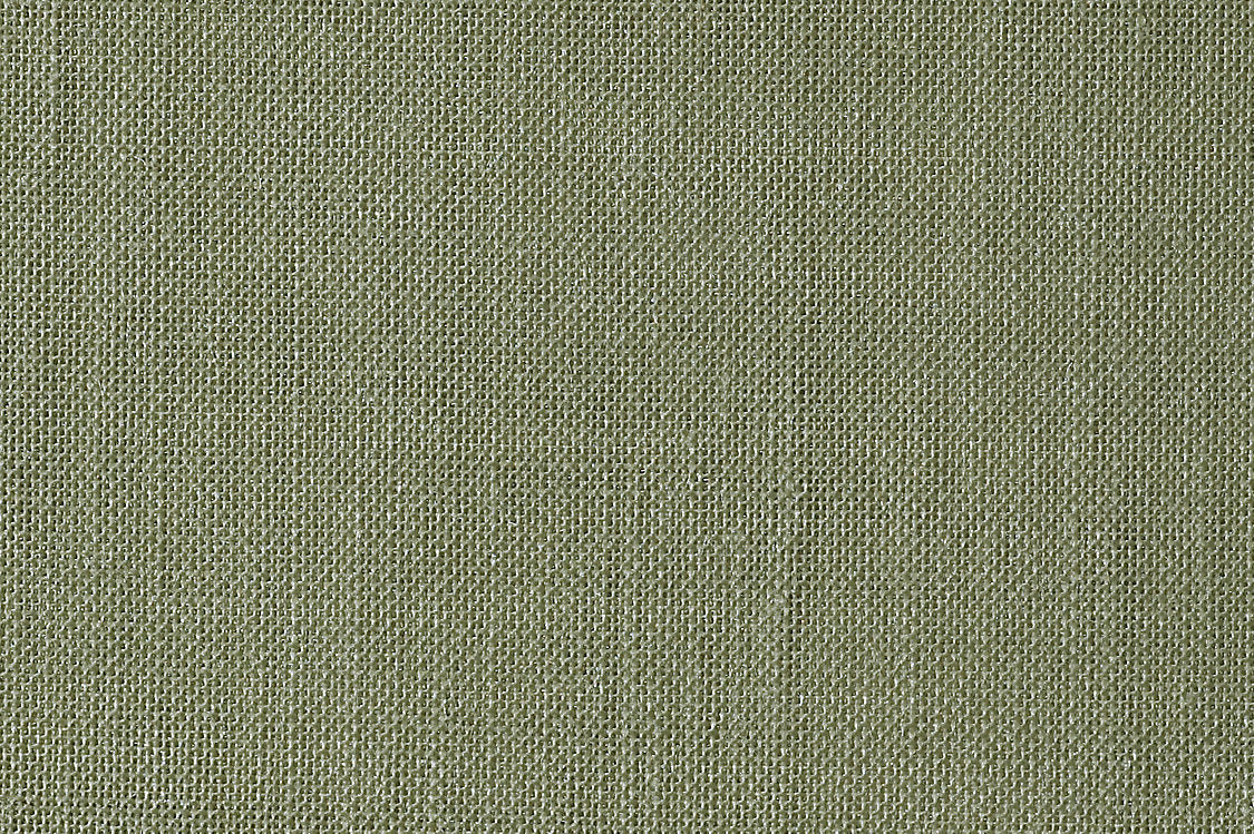 Alsara - Nettle