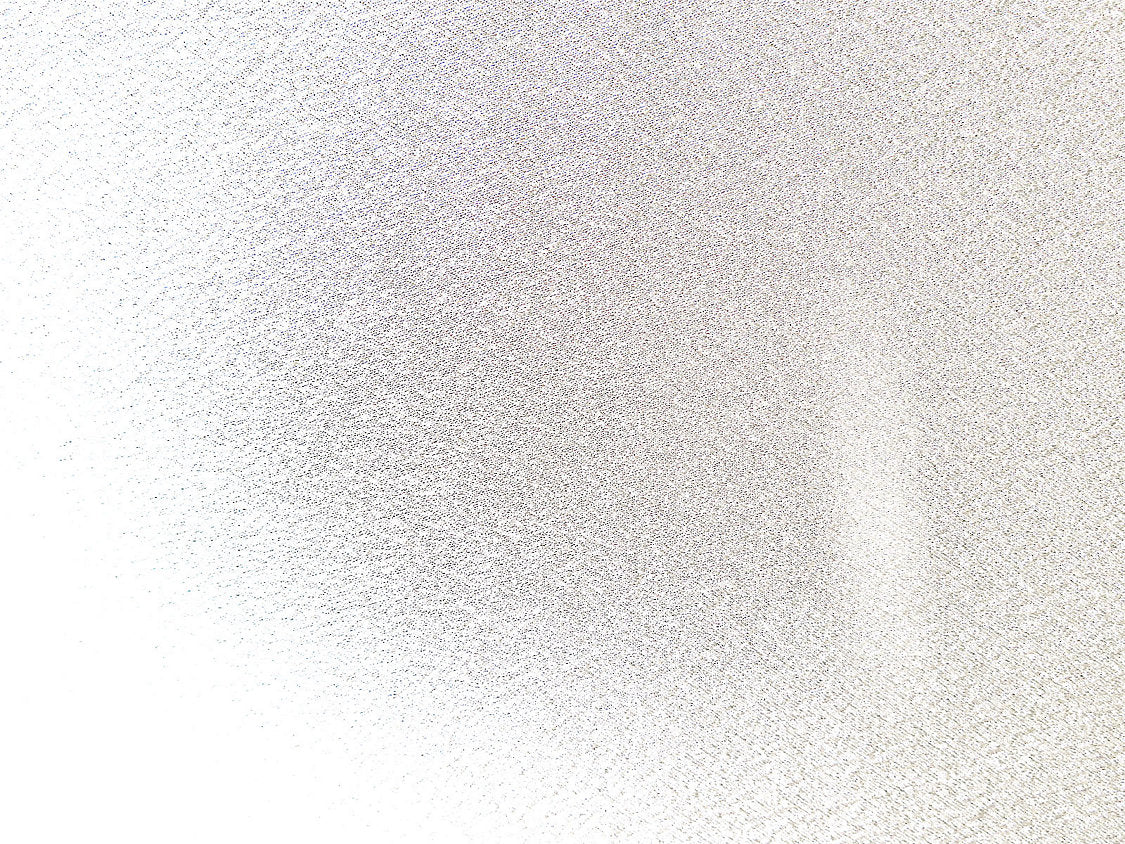 Idra - Eggshell - Scalamandre Fabric