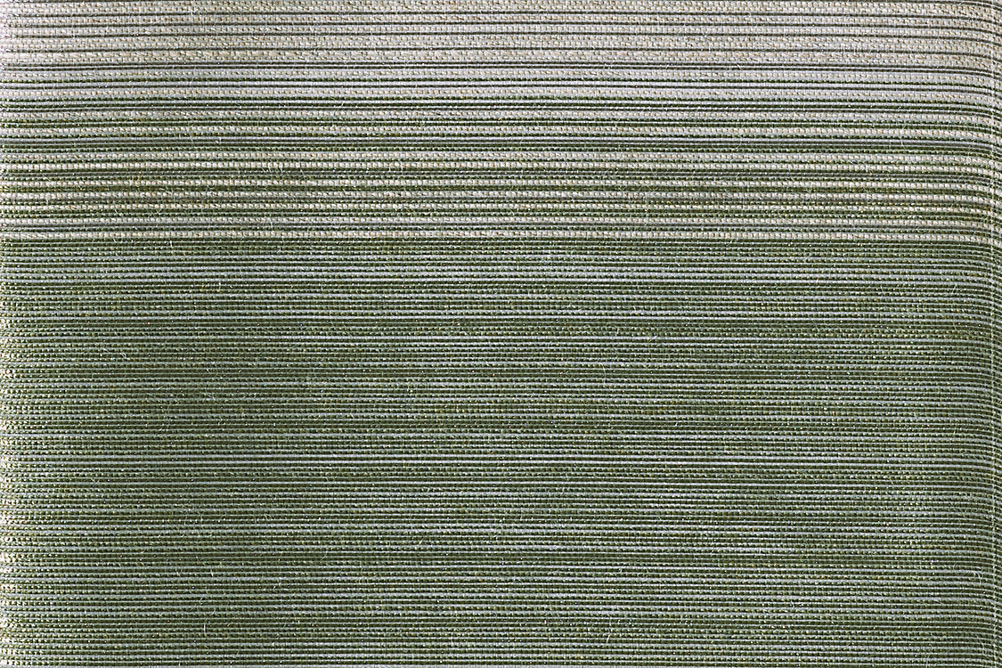 Tristripe - Forest