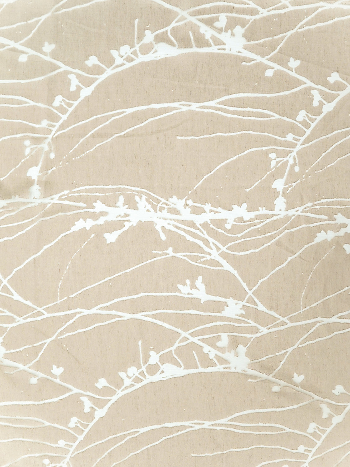 Ikebana - Almond - Scalamandre Fabric