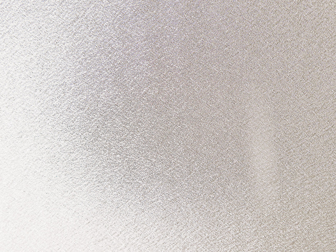 Idra - Beige - Scalamandre Fabric