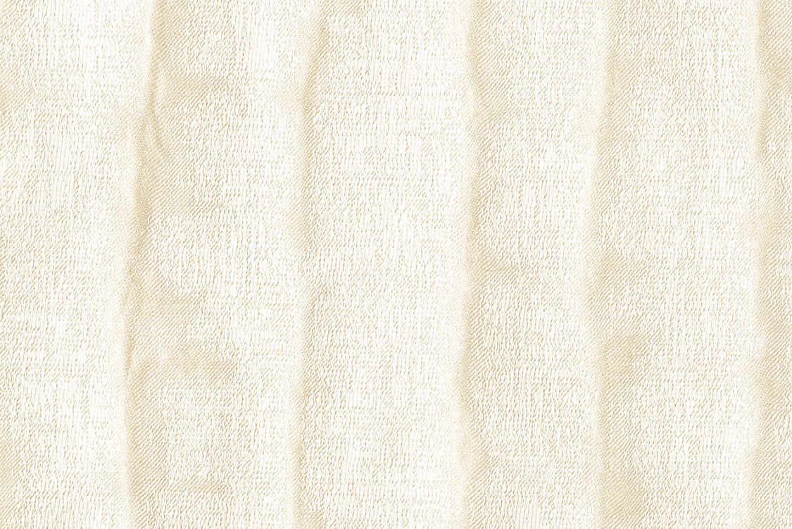 Ink - Vanilla - Scalamandre Fabric