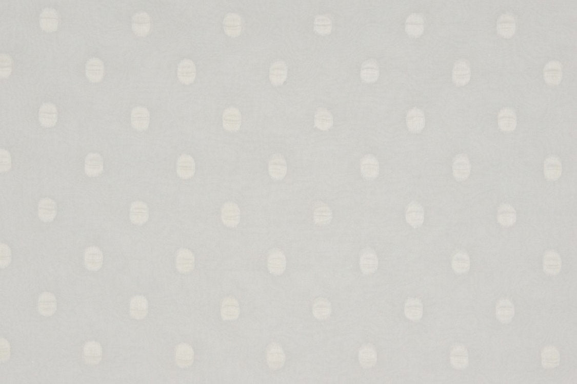 Solar Eclipse - Paper White - Scalamandre Fabric