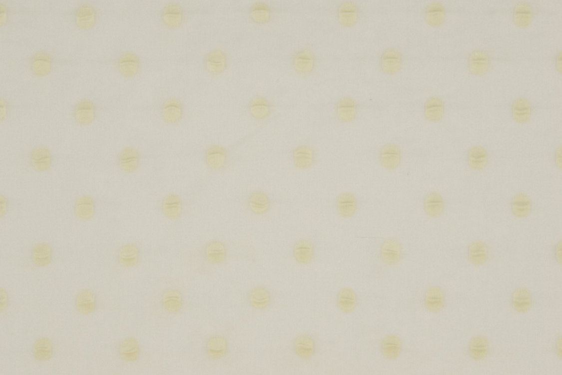 Solar Eclipse - Cream
