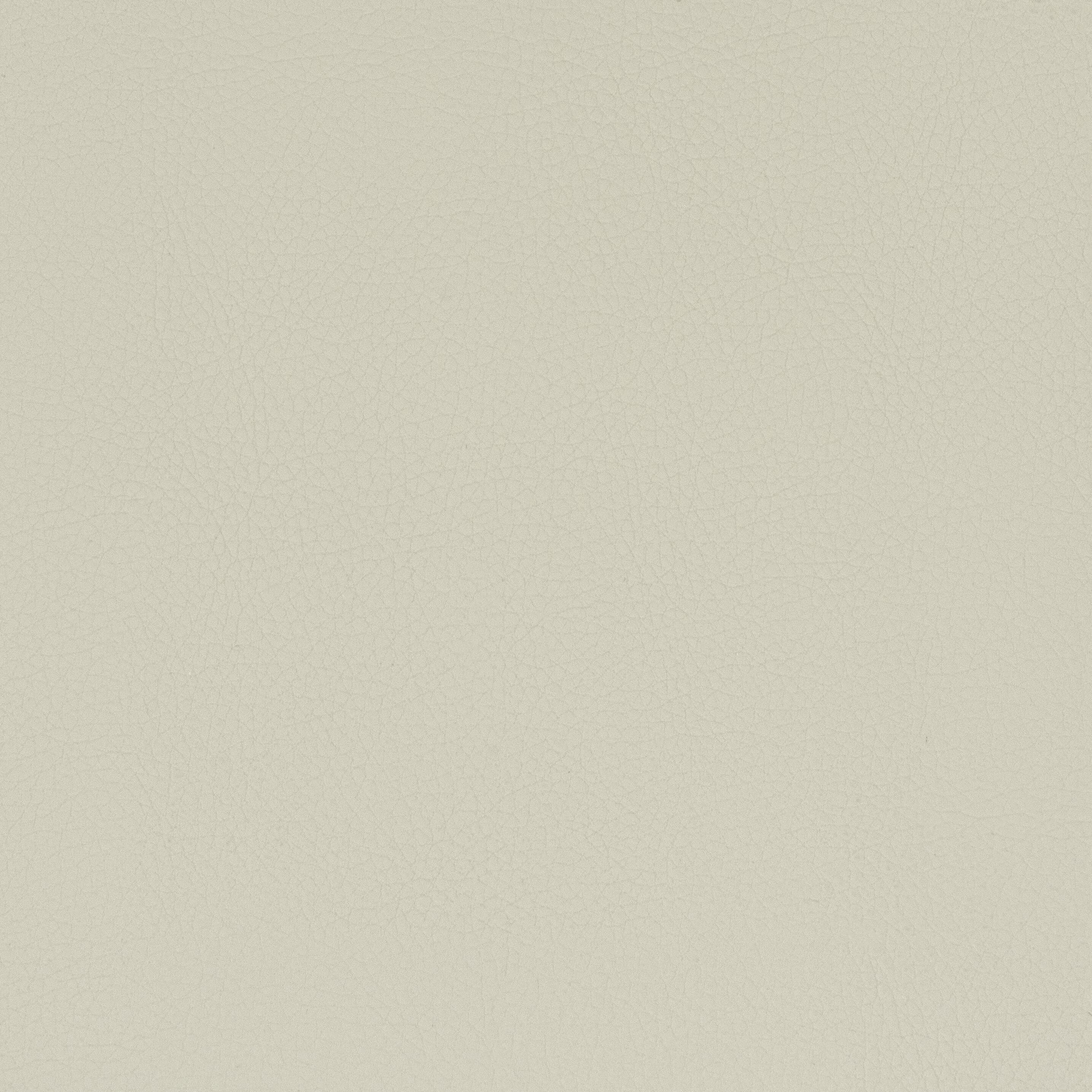 Classic 5 Camel - Stout Textiles Fabric