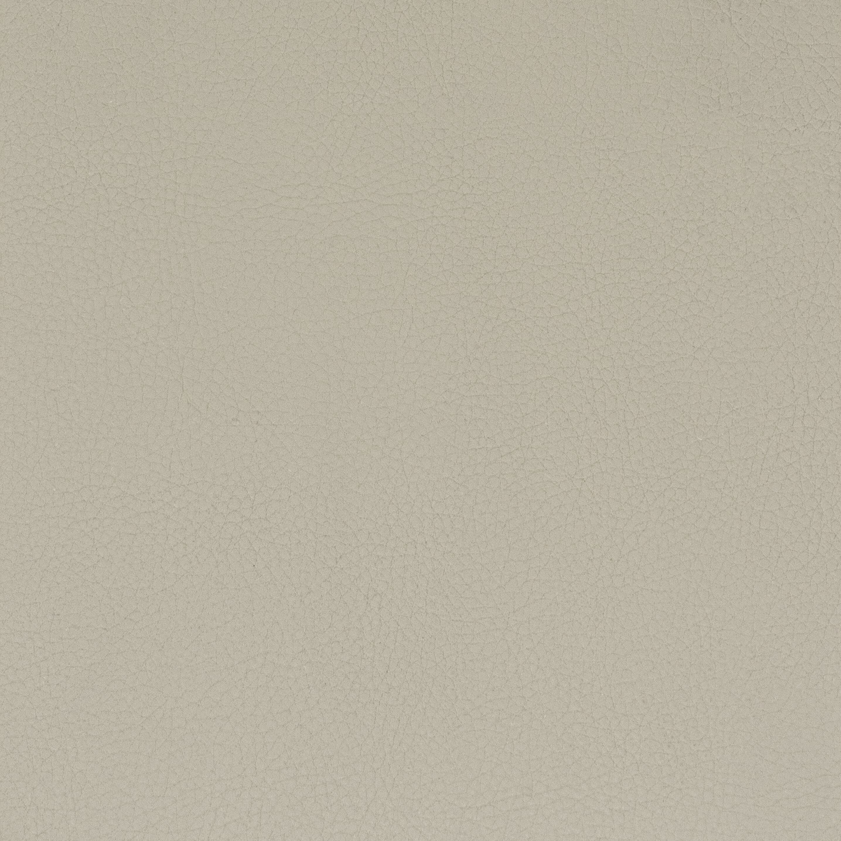 Classic 9 Putty - Stout  Textiles Fabric