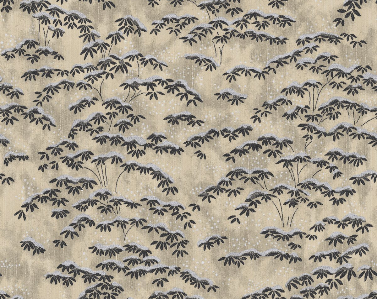 SAGANO BEIGE CL 36397 0001 by Colony Fabric - Scalamandre Fabric