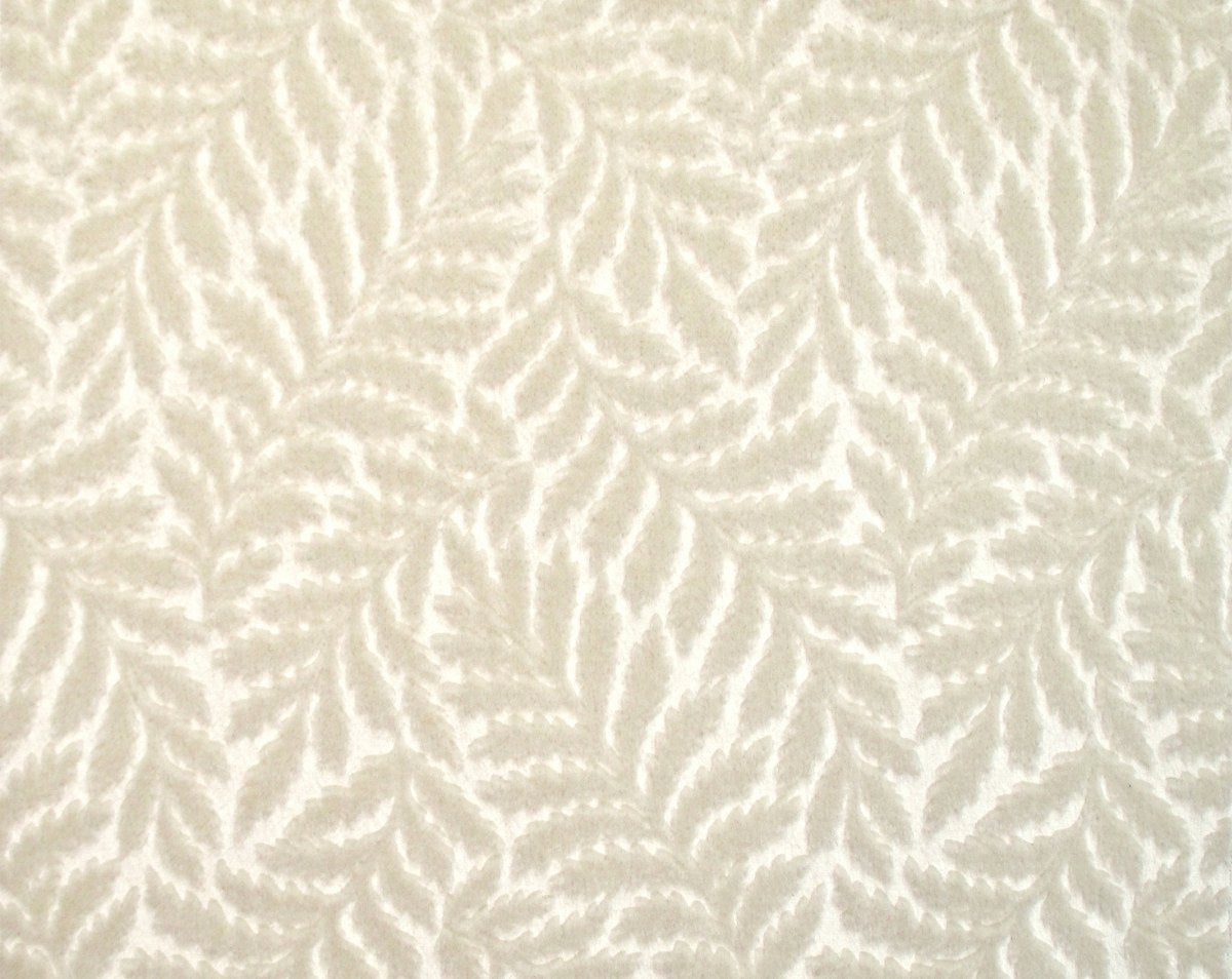 CANOVA FOUGERE AVORIO CL 36423 0001 by Colony Fabric - Scalamandre Fabric