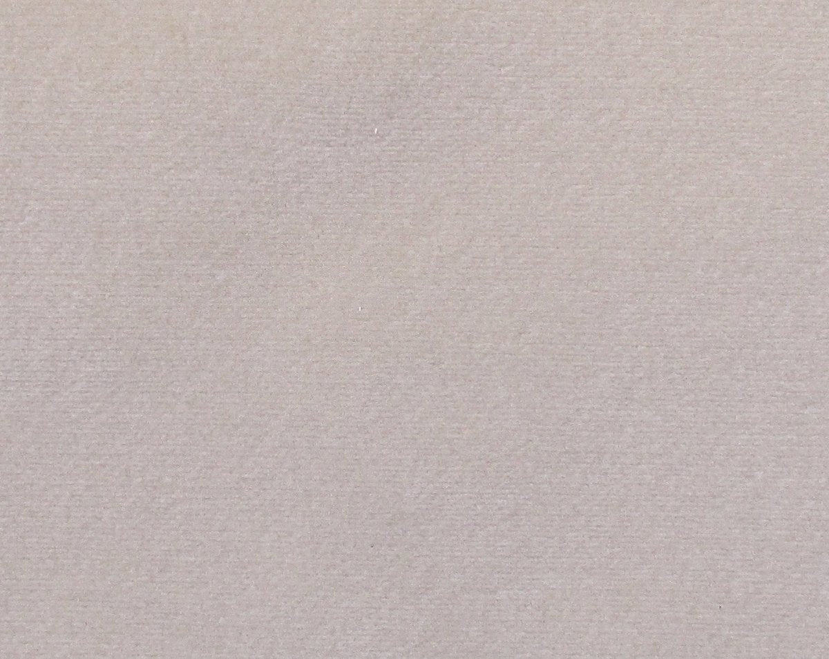 ARGO AVORIO CL 36432 0002 by Colony Fabric - Scalamandre Fabric