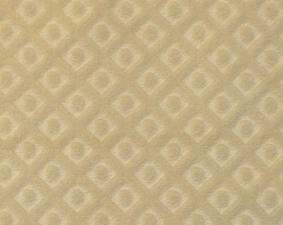 ARGO TRELLIS AVORIO CL 36434 0002 by Colony Fabric