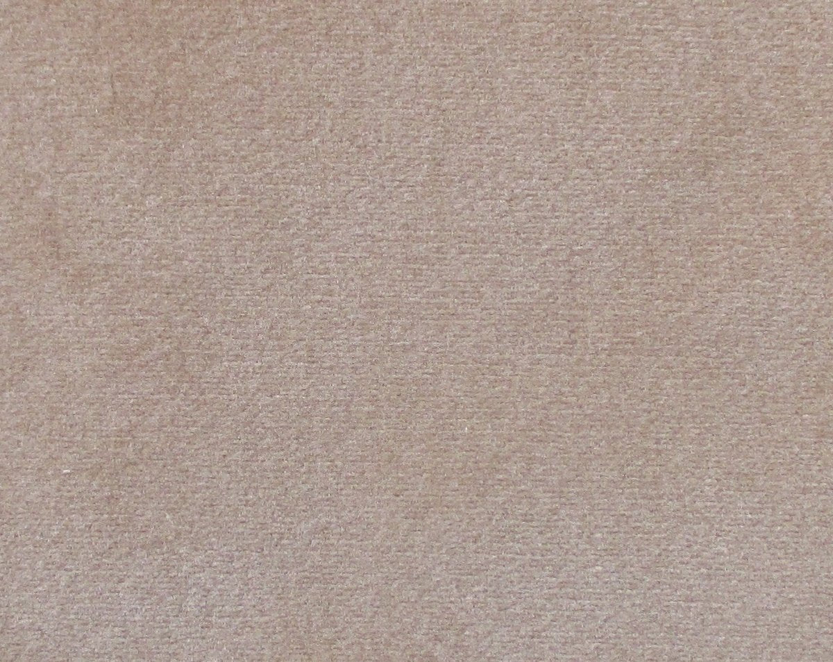 ARGO CASTORO CL 36432 0004 by Colony Fabric