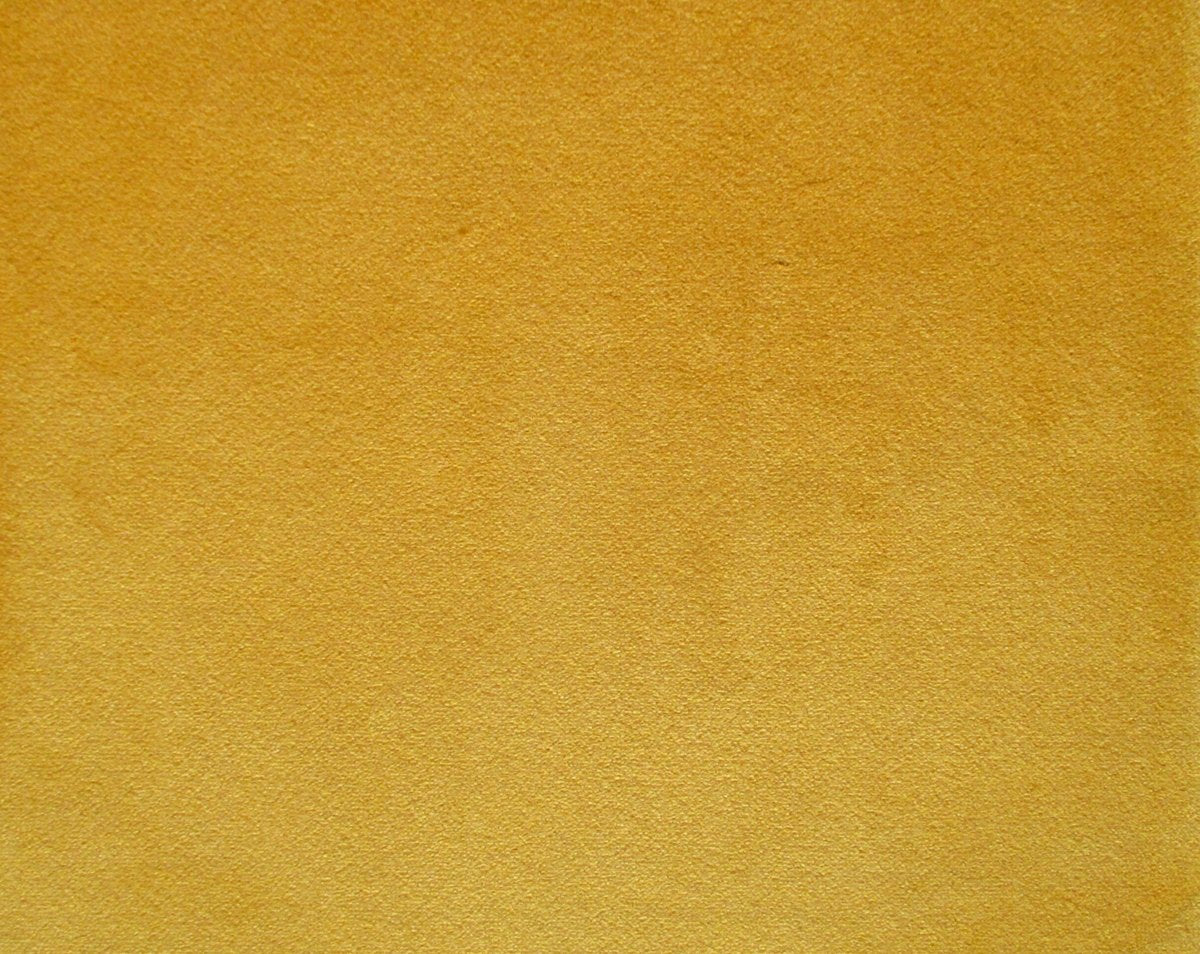 PEDRO ORO CL 36439 0004 by Colony Fabric - Scalamandre Fabric