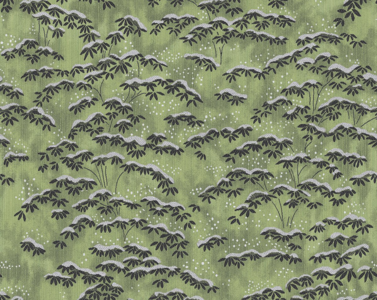 SAGANO VERDE CL 36397 0005 by Colony Fabric - Scalamandre Fabric