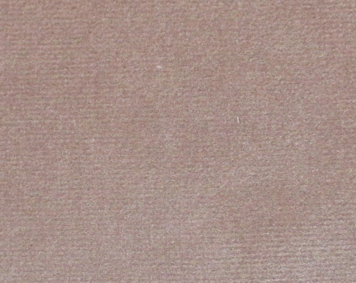 ARGO TORTORA CL 36432 0005 by Colony Fabric