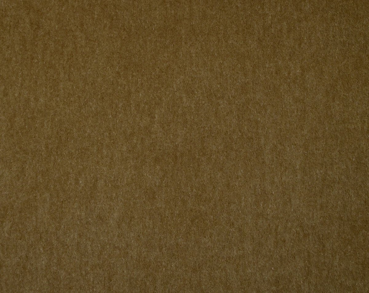CANOVA ORO CL 36422 0006 by Colony Fabric - Scalamandre Fabric