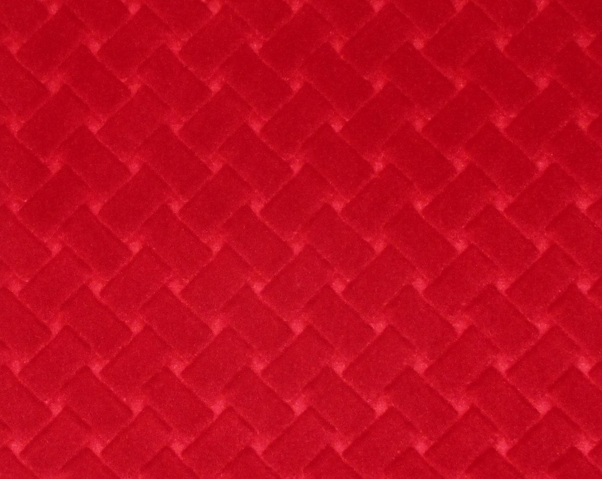 ARGO CANESTRINO ROSSO CL 36433 0010 by Colony Fabric