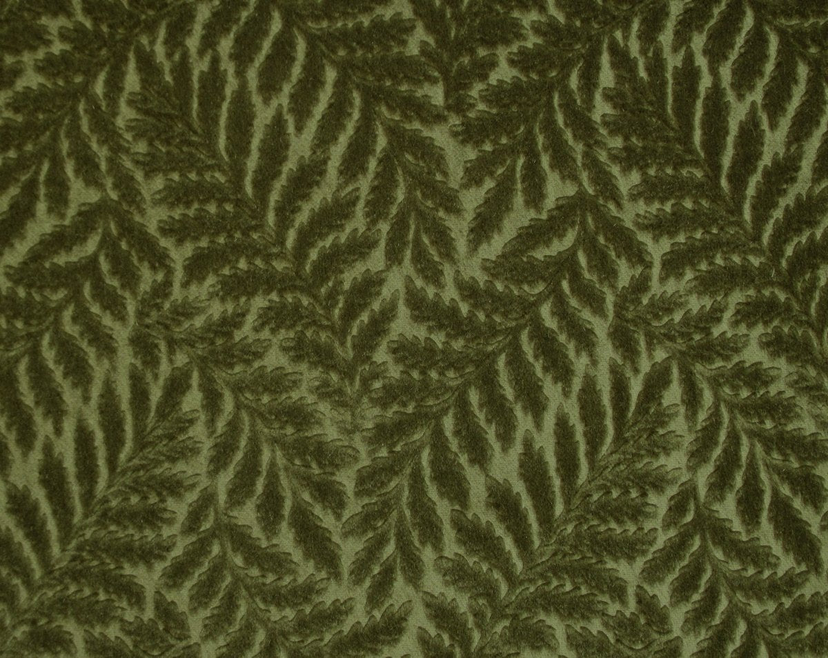 CANOVA FOUGERE VERDE CL 36423 0011 by Colony Fabric