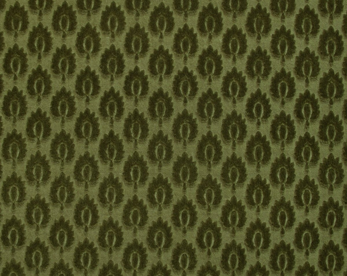 CANOVA SEMIS VERDE CL 36424 0011 by Colony Fabric - Scalamandre Fabric