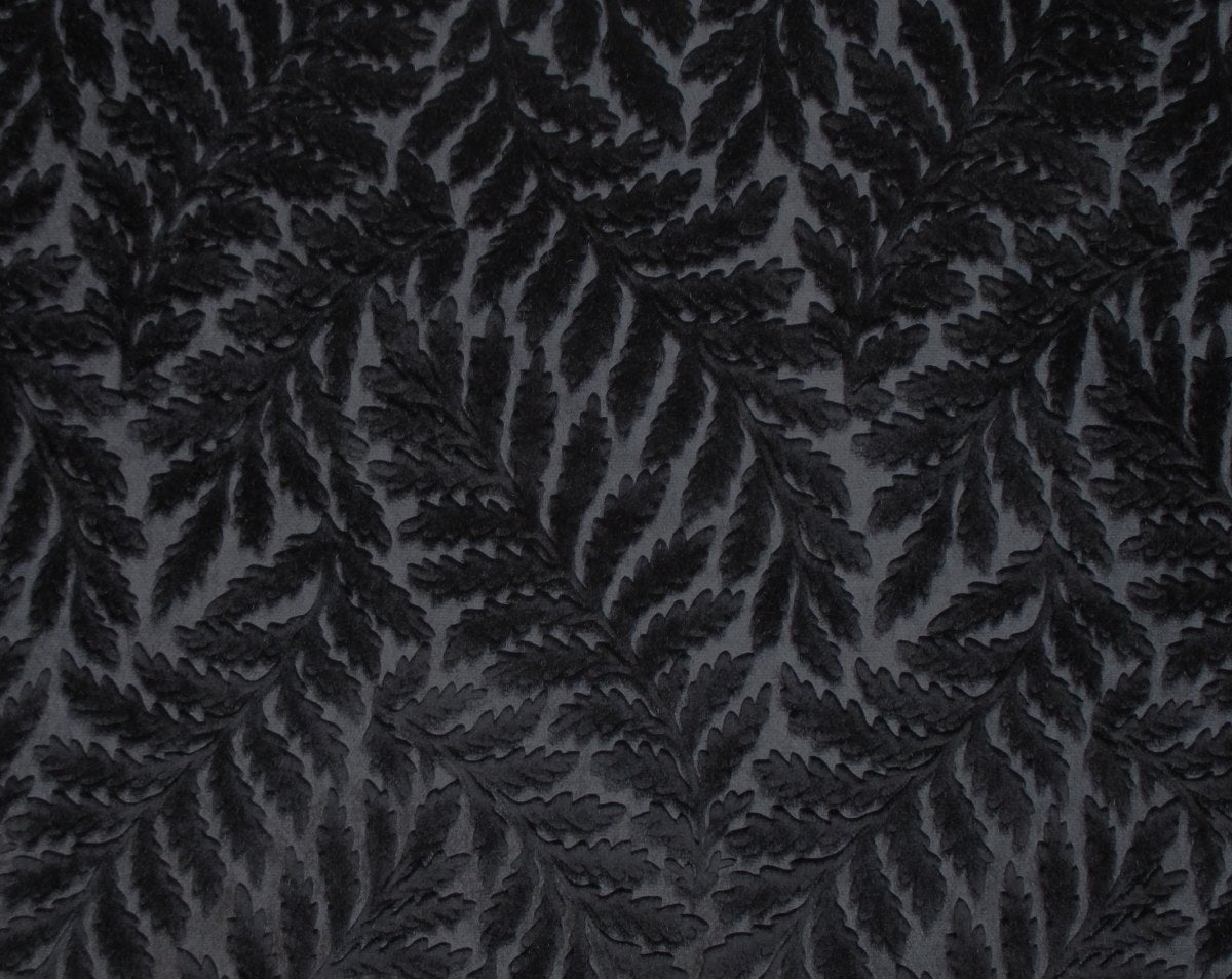 CANOVA FOUGERE NERO CL 36423 0014 by Colony Fabric - Scalamandre Fabric