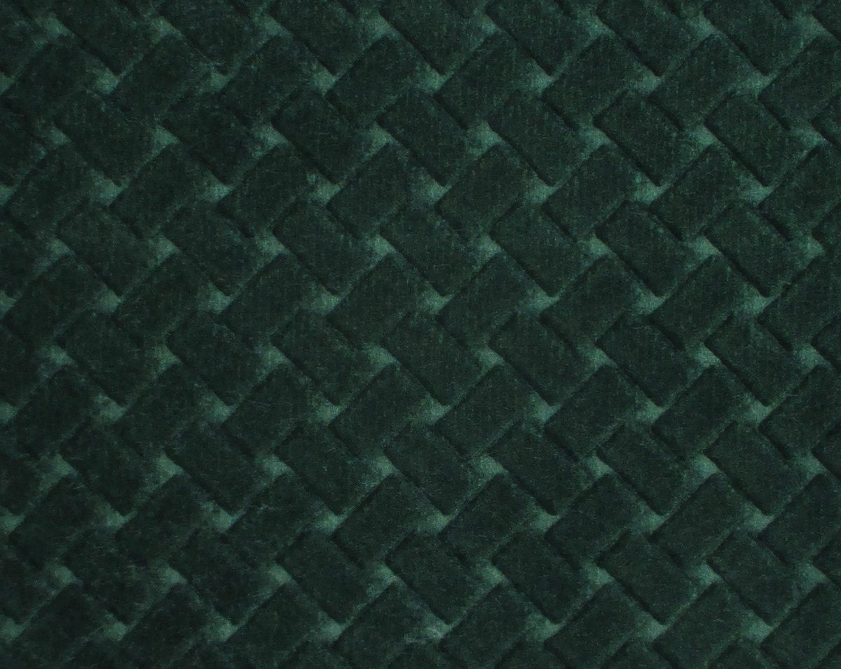 ARGO CANESTRINO VERDONE CL 36433 0022 by Colony Fabric