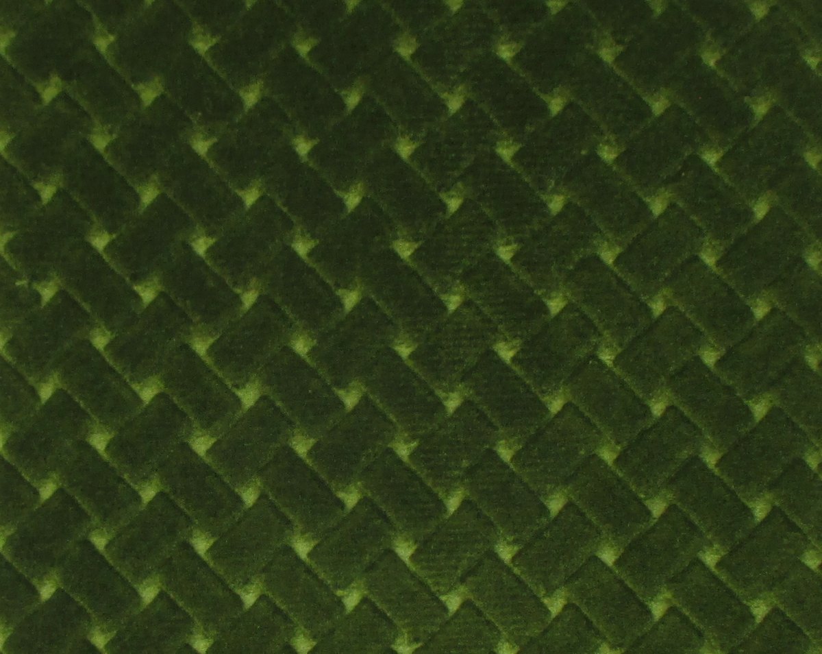 ARGO CANESTRINO FOGLIA CL 36433 0023 by Colony Fabric - Scalamandre Fabric