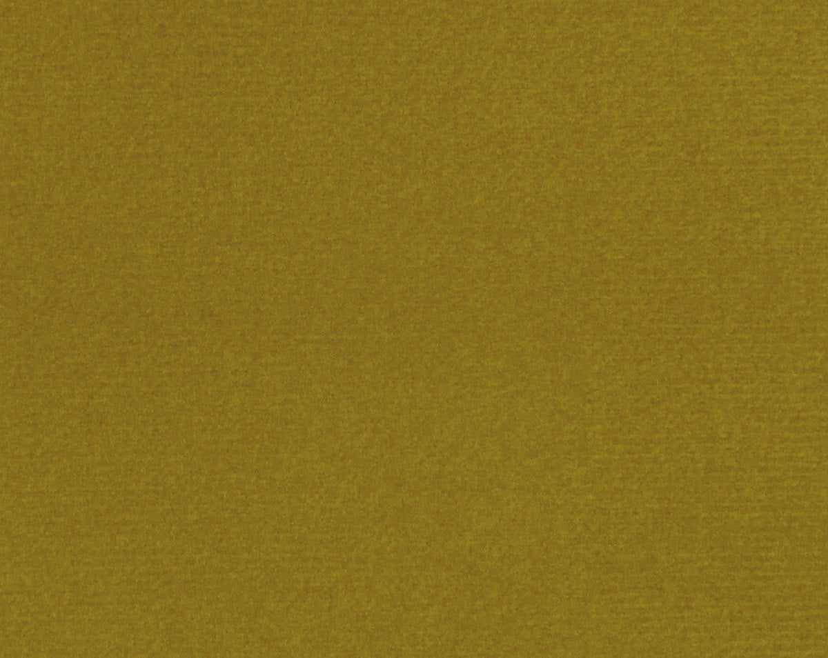 ARGO OLIVA CL 36432 0025 by Colony Fabric