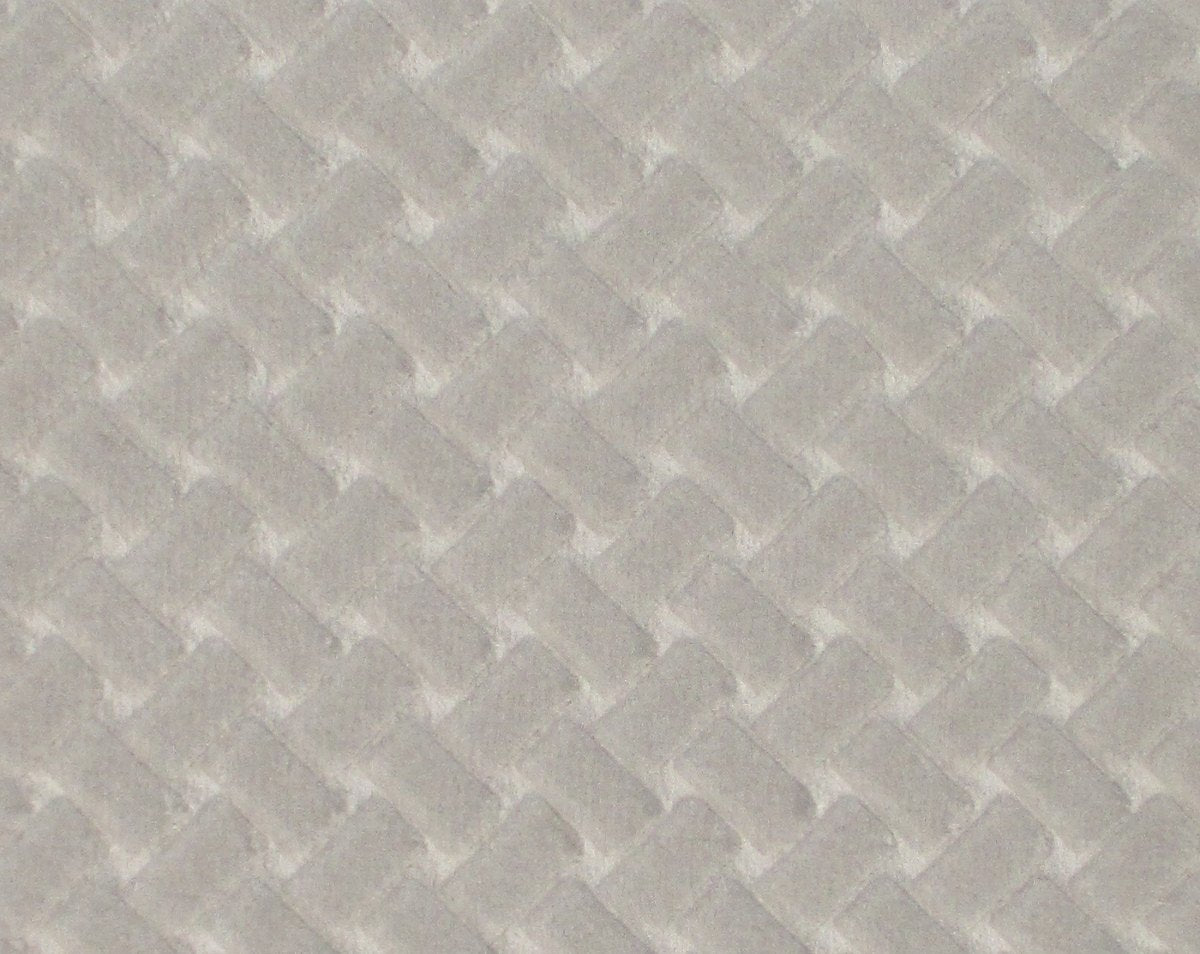 ARGO CANESTRINO POLVERE CL 36433 0028 by Colony Fabric - Scalamandre Fabric