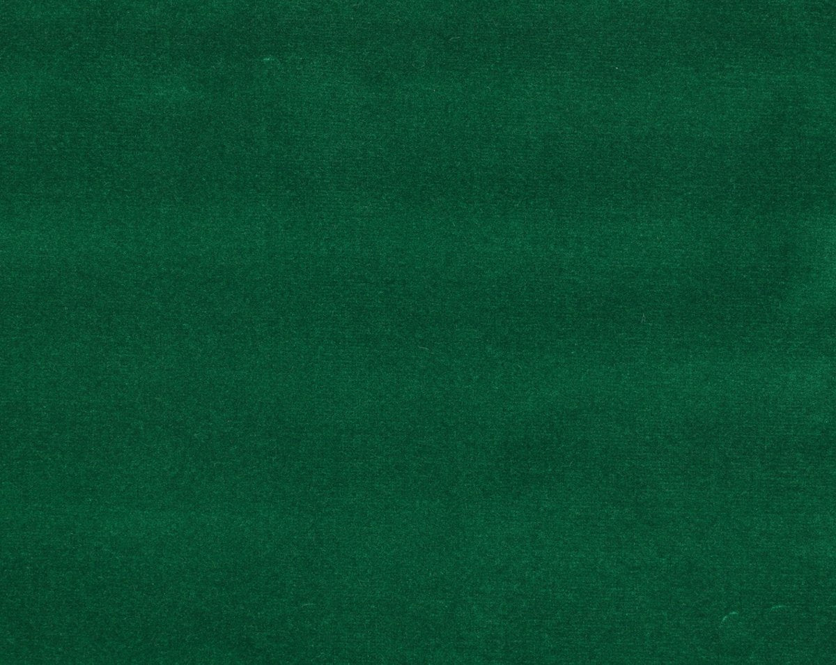 ARGO GIUNGLA CL 36432 0042 by Colony Fabric - Scalamandre Fabric