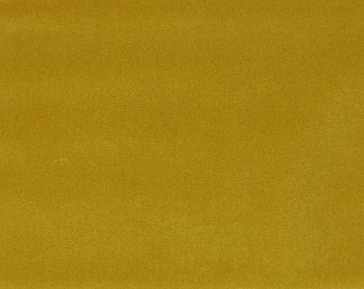 ARGO SENAPE CL 36432 0044 by Colony Fabric
