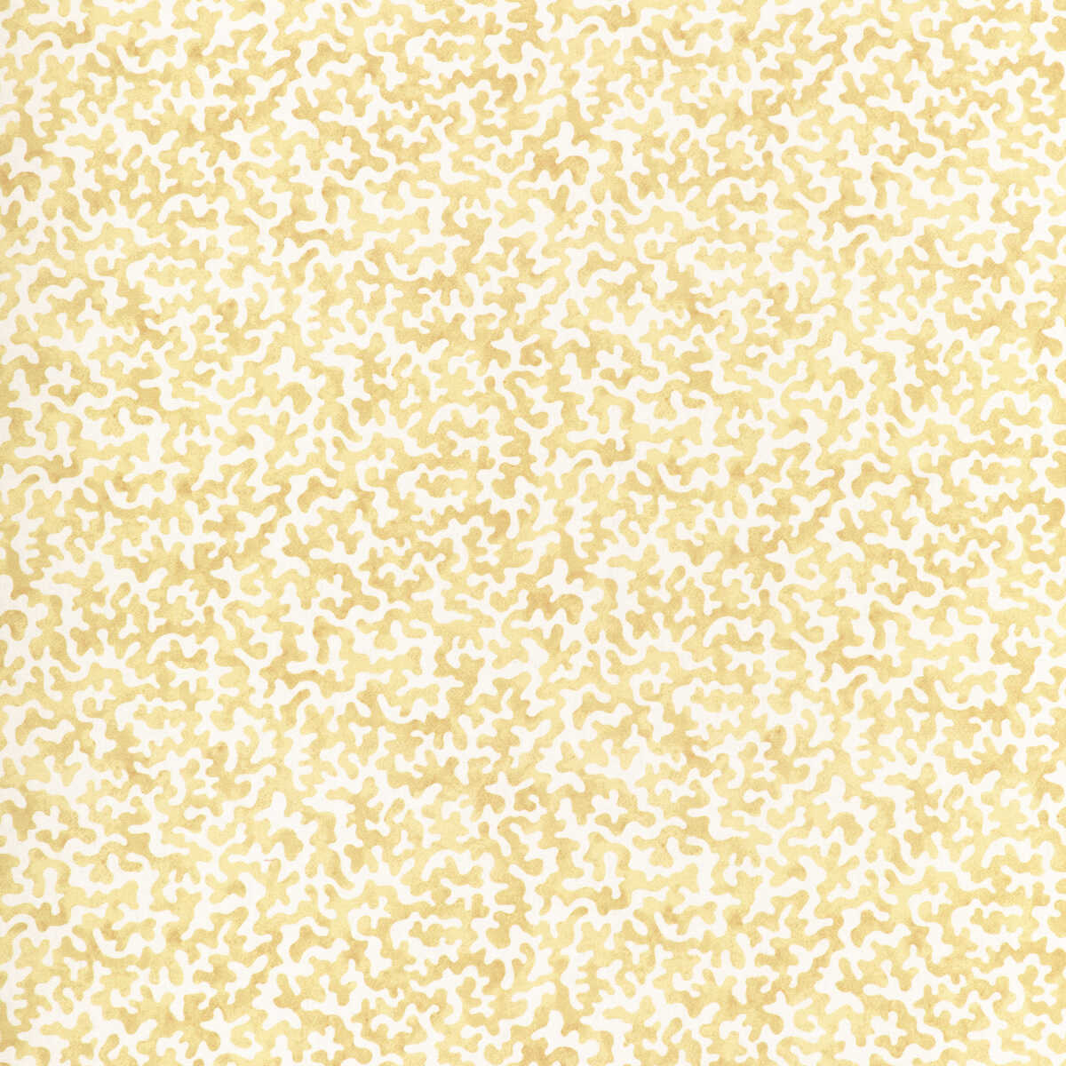 Coralcoast - Cornsilk - KRAVET BASICS Fabric