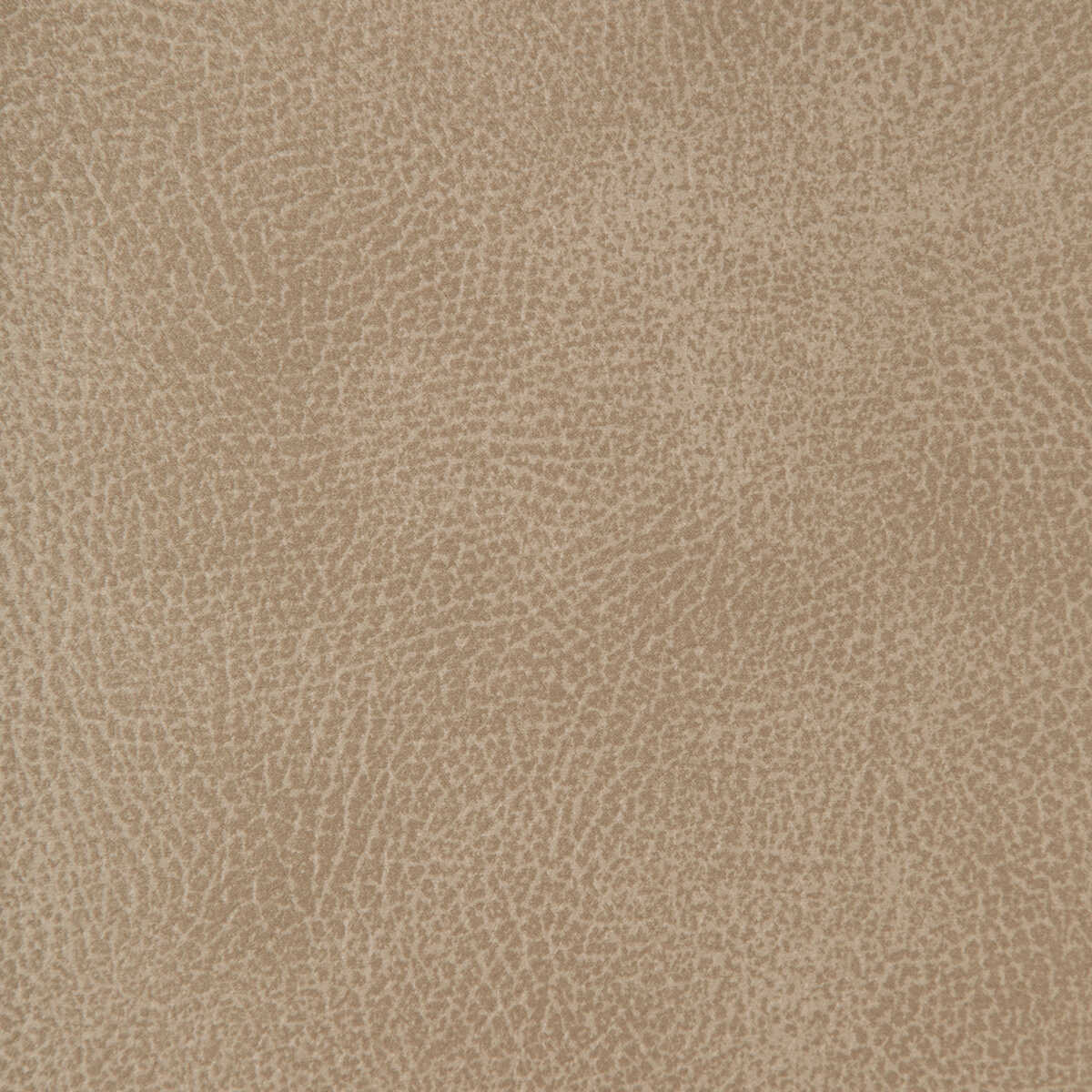 Kravet Design - Crisp-1101 - KRAVET DESIGN Tela