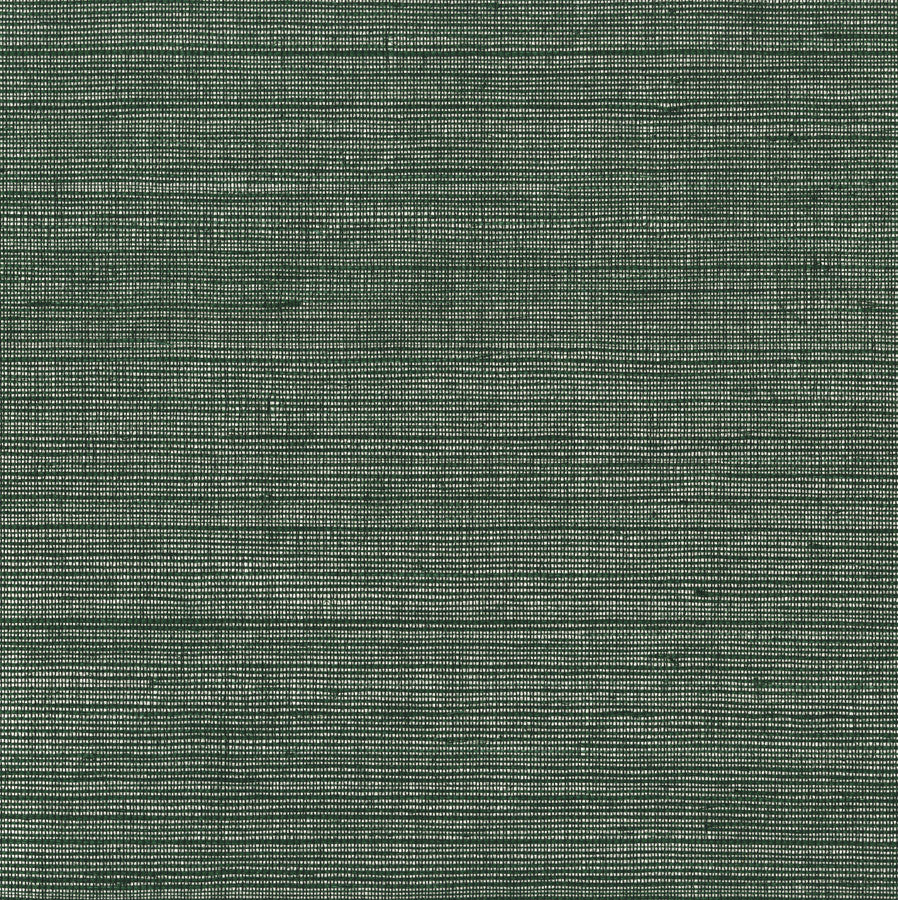 corso-cro-05-verdi-innovations - Innovations Wallpaper