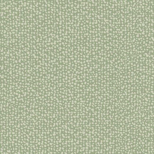 galaxies-wallpaper-green-york-wallcoverings-dd3801