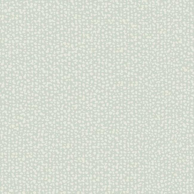 galaxies-wallpaper-grey-york-wallcoverings-dd3804