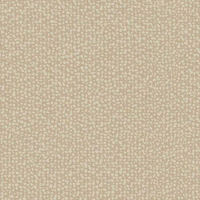 galaxies-wallpaper-clay-york-wallcoverings-dd3806