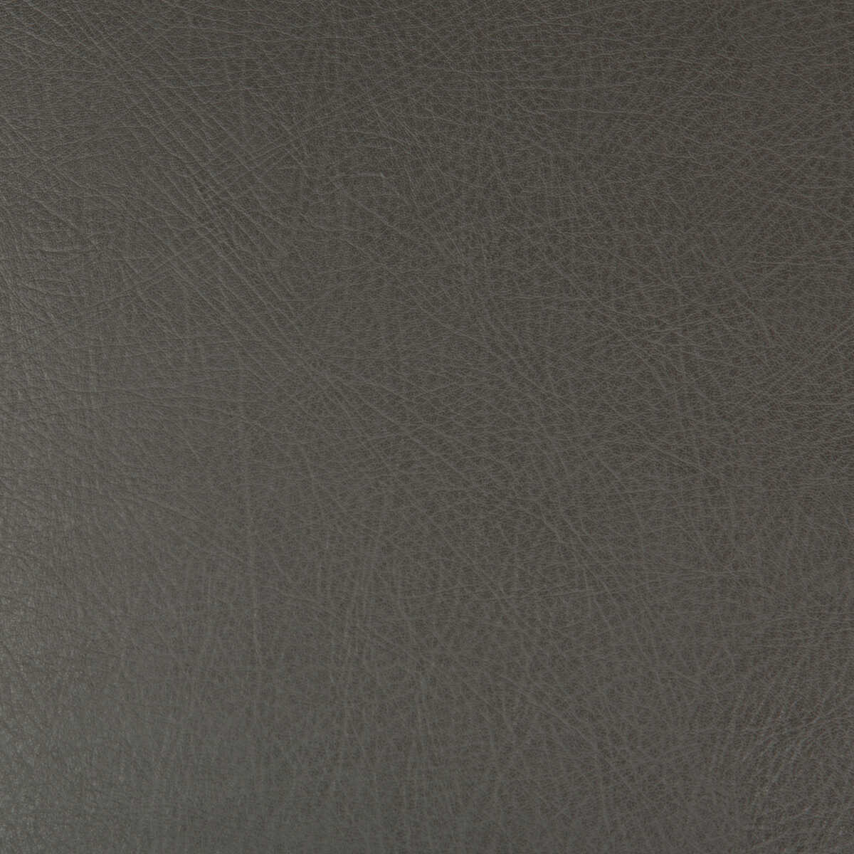 Kravet Design - Deimos-21