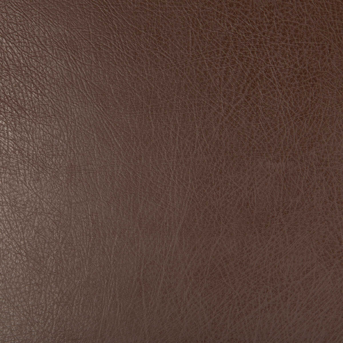 Kravet Design - Deimos-6