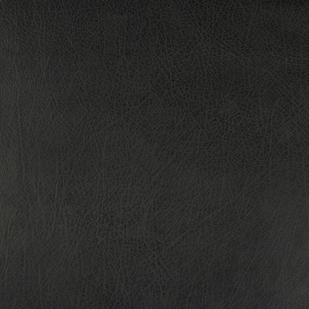 Kravet Design - Deimos-8