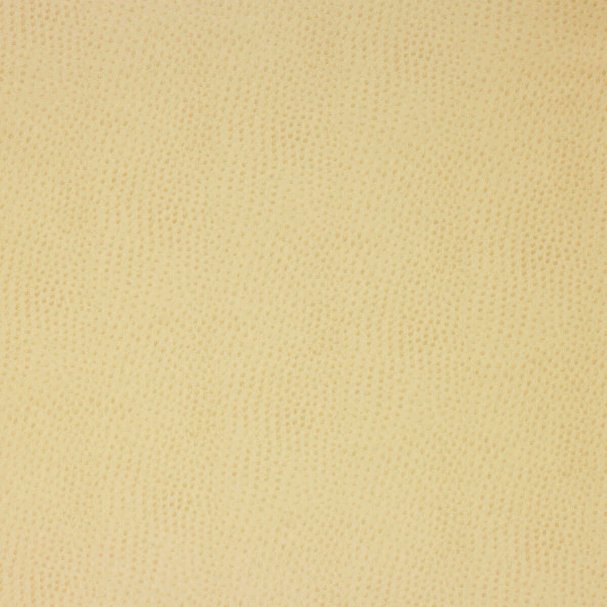 Kravet Design - Delaney-116