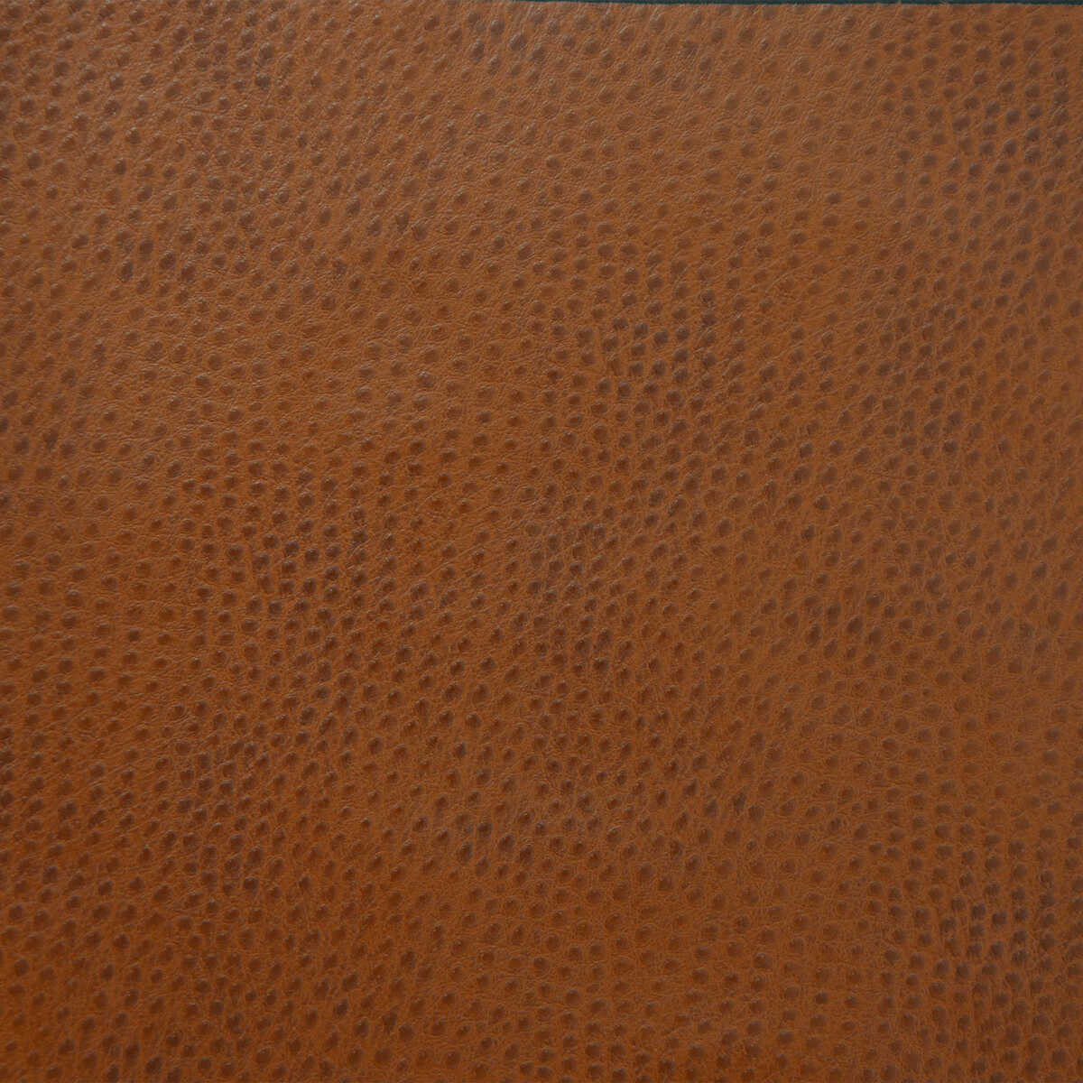 Kravet Design - Delaney-6 - KRAVET DESIGN Fabric