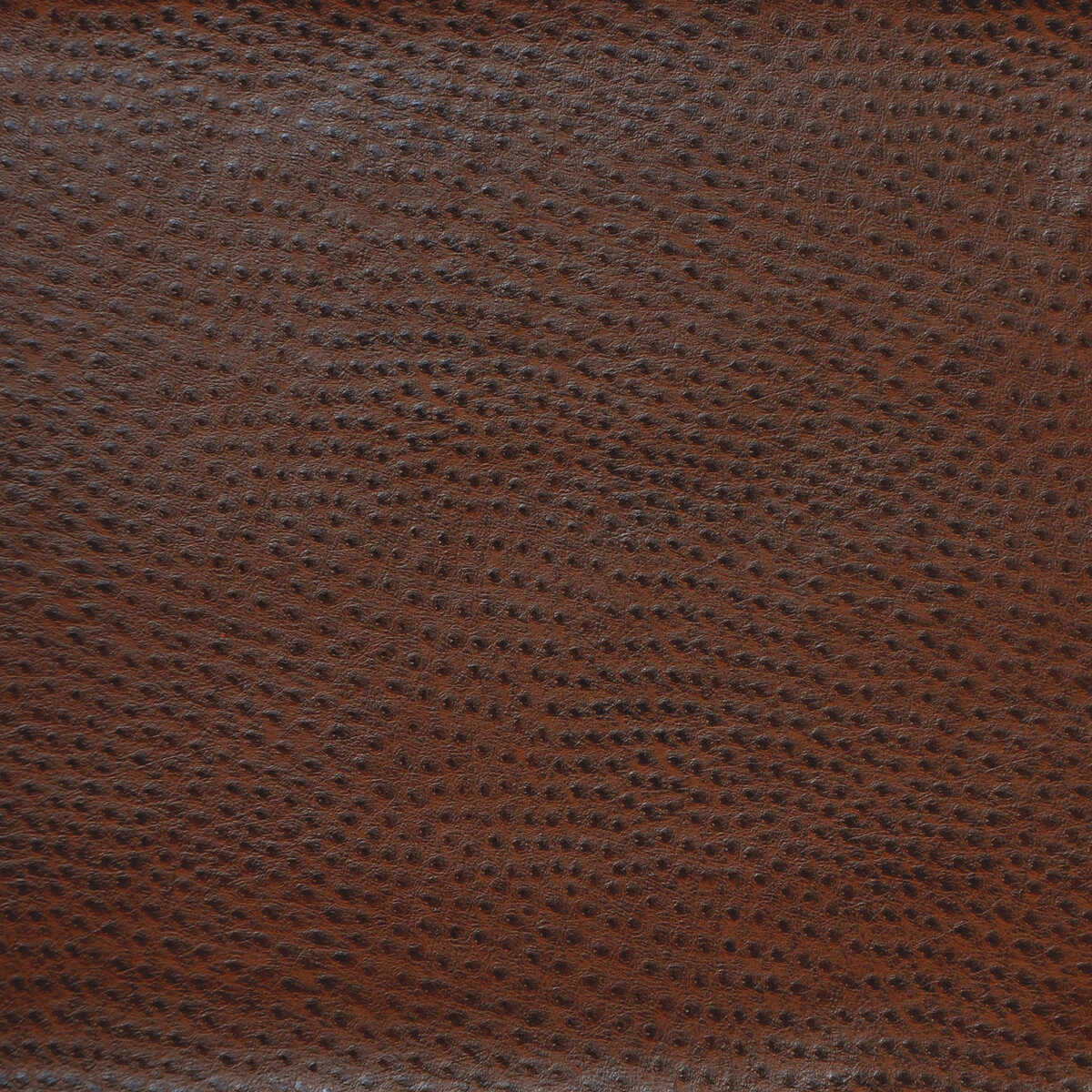 Kravet Design - Delaney-66