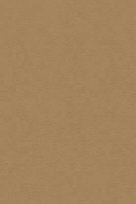Kravet Design - Desire-16
