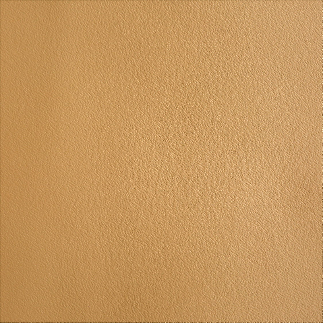 Scottish Leather Fr - Ramasaig - Scalamandre Fabric