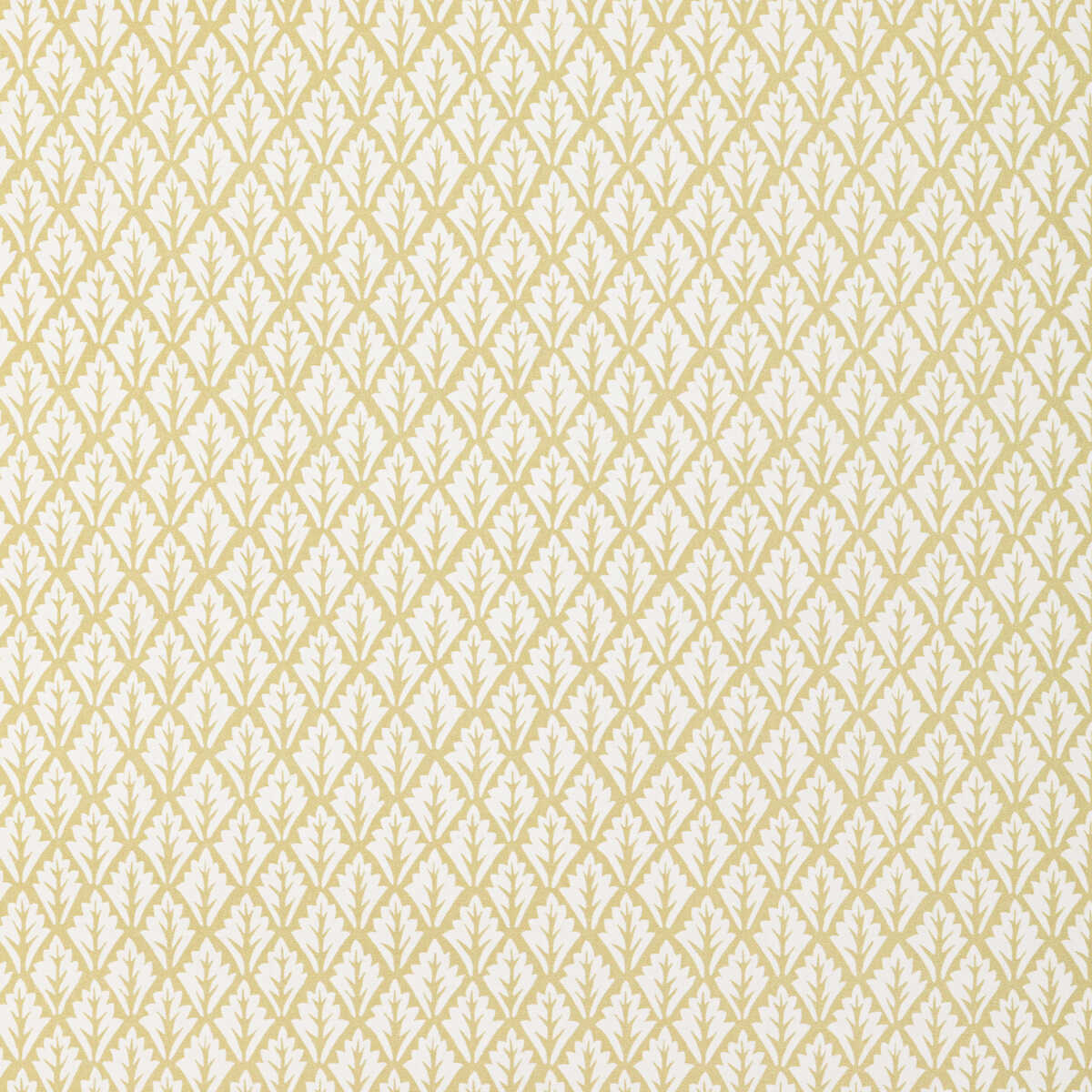 Dorso - Maize - KRAVET BASICS Fabric